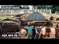 Download Lagu Gempar Ngerii.. Makam makam Cina Pada Di Bongkar...Ada Apa Ini..??