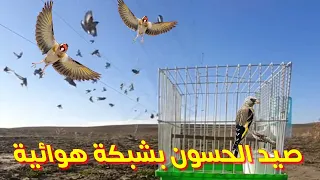 صيد الحسون بالشبكة الهوائية Cazando Jilguero Con Red De Aire  صيد الحسون بالشبكة الهوائية Cazando Jilguero Con Red De Aire