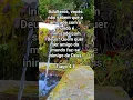 Download Lagu Valor de uma Alma! Mara lima, André e Felipe! Louvor Eterno.