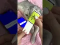 SPA DAY FOR CAT