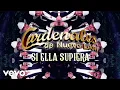 Cardenales De Nuevo Leon - Si Ella Supiera Visualizer