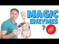 Why Digestive Enzymes and the Best Kind to Use