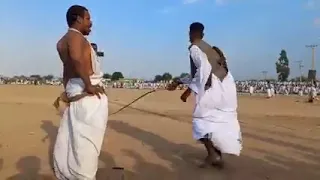 زمراوي حفل الدامر الشجرة اشترك في القناة 