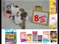 8 WORST CAT FOOD BRANDS THAT YOU SHOULD AVOID