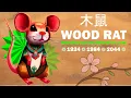 WOOD RAT PERSONALITY Chinese Astrology Love Facts Strength Weaknesses of Rat Sign