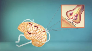 สมองมนุษย์ใช้พลังงานมากแค่ไหน และทำไมถึงไม่สามารถใช้เพียง 10% ได้