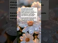 Download Lagu Lagu pernikahan kita..#quotes #music #pasangan #couple #love