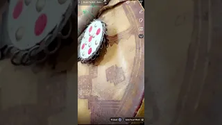 الهول من الكحال دندنها