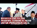 Download Lagu Tanpa Banyak omon omon! Prabowo Langsung Terbang ke Mesir Demi Perdamaian Gaza