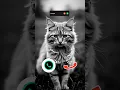 Download Lagu #smartphone #ringtone #tech #call #ringtones #iphone #mobiletech #innovation #unveiling #iphone15
