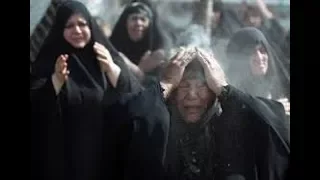 نعي فقد الشباب (وين الفاكده الشبان)- السيد محمد الصافي