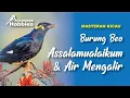 Download Lagu MASTERAN AMPUH BURUNG BEO \