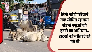 सिर्फ फोटो खिंचाने तक सीमित रह गया रोड से पशुओं को हटाने का अभियान.. हादसों को न्यौता दे रहे मवेशी