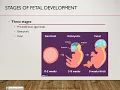 Fetal Development - Nursing Lecture