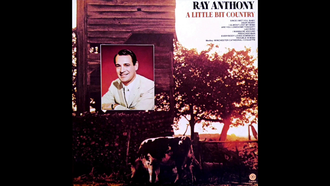 A Little Bit of Country - Ray Anthony