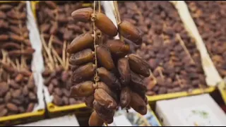 التمور المصرية تغزو الأسواق المغربية وتثير مخاوف من إفلاس المنتجين المحليين 