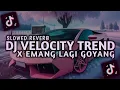 Download Lagu DJ VELOCITY TREND X EMANG LAGI GOYANG SLOWED REVERB | DJ TIKTOK TERBARU 2025
