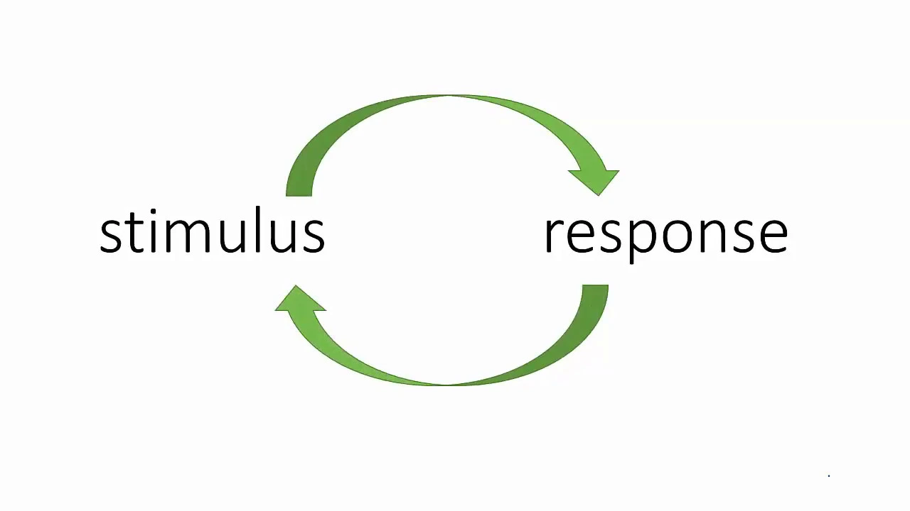 Positive and negative feedback loops