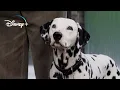 Download Lagu The Puppies come back Home – 101 Dalmatians (HD Movie Clip)
