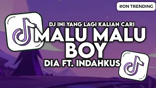 dj malu malu dia ft indahkus malu malu boy slow bass viral tiktok