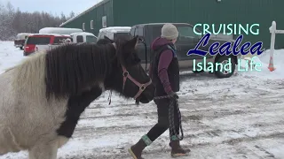 Cruising Lealea Update