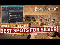 Best Grind Spots to make SILVER for ALL AP Levels in Black Desert December 2025