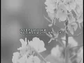 アザミ嬢のララバイ