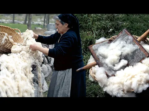 Download MP3 La LANA en el Pirineo. Esquilado de ovejas, cardado y elaboración artesanal de prendas | Documental