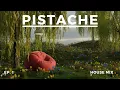 HOUSE & DEEP HOUSE MIX 2024  | PISTACHE EPISODE #1