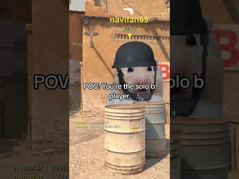 Need help on b please #navi #cs2