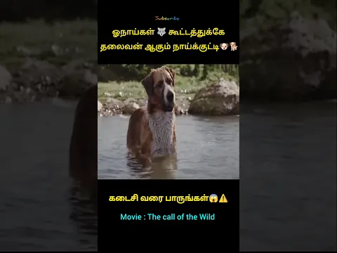 ஓநாய் கூட்டத்துக்கே தலைவன் ஆகும் நாய்க்குட்டி 🐕 #tamil #trending #voiceover