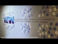 Tour of the NWS Twin Cities Office
