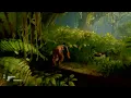 Uncharted 4 Crushing Chapter 13 - Marooned Perfect Stealth Peaceful Resolution Easy route