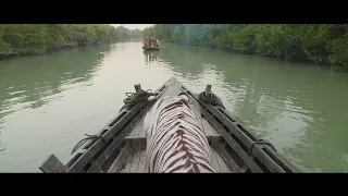 armies vs white tiger roar the tigers of the sunderban 
