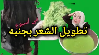 أفضل خضرا بالعالم لتطويل وتكثيف الشعر بأسبوع من عمرر سنه ل٧٠سنه بجنيه فقط مع خبيره التجميل مريم يحيى