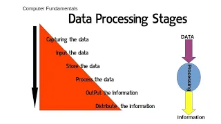 Data Processing Data Processing stages