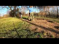 Using a Grave Digger Tools shovel to climb a tree