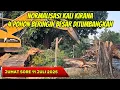 Download Lagu ALHAMDULILLAH!! EXCAVATOR BABAT HABIS 4 POHON BERINGIN BESAR NORMALISASI KALI BEKASI #dedimulyadi