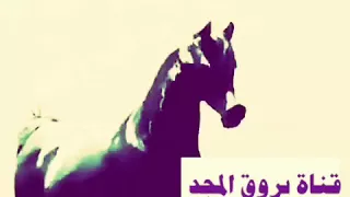 على وقع الوصال 