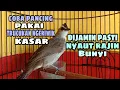 Download Lagu Pancingan Joss Trucukan Ngeriwik Kasar Paling Cepat Biar Trucukmu Rajin Bunyi Gacor.