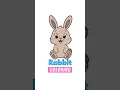 Rabbit Coloring for Kids Easy Animal Drawing Painting Learn Colors for Children