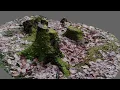 Meshroom - Tree Trunk Photogrammetry