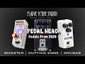 Download Lagu Pedals I Missed in 2020: Rainger FX Minibar, VOX Cutting Edge, \u0026 Amazon Basics Boost