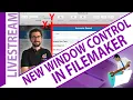 New Window Control in Claris FileMaker for Beginners
