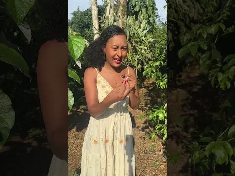 Nunca passe perfume e vá pro meio do mato