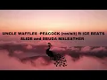 Uncle Waffles - Peacock Revisit ft. Ice Beats Slide & Sbuda Maleather (Official Audio)