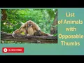 List of Animals with Opposable Thumbs