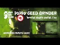Download Lagu POPPY SEED GRINDER oppressed reality  (2004 / full album)