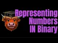 Understanding Number Systems - SQA Higher Computing Science