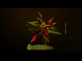 Onurr - Gum Gum